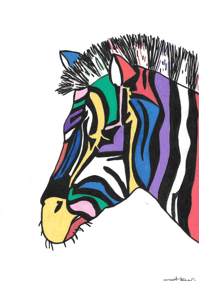 A4 print - The Zebra
